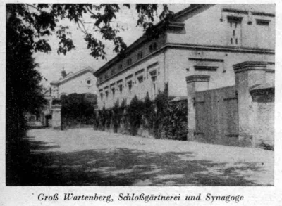 Książęce ogrody zamkowe w Sycowie. Ślad dawnej świetności przy ul. Ogrodowej