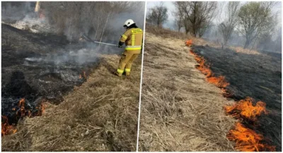 Pożar nieużytków w Grabownie Wielkim. Ogień zagrażał zabudowaniom