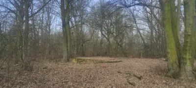 Rusza modernizacja Małpiego Gaju w Dziadowej Kłodzie. Powstanie atrakcyjne miejsce