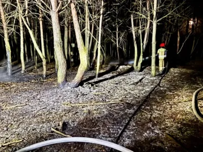 Pożar ściółki leśnej w Krzeczynie. Interweniowali strażacy z Ligoty Małej i Oleśnicy