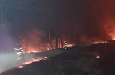 Nocna akcja strażaków w Kuźni Goszczańskiej. Płonęły trzciny