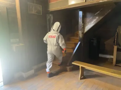 Groźne owady na strychu kościoła. Strażacy usunęli gniazda szerszeni