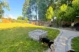 Wielkie porządki i remont w Przytul Pyska. Przytulisko pilnie potrzebuje rąk do pracy