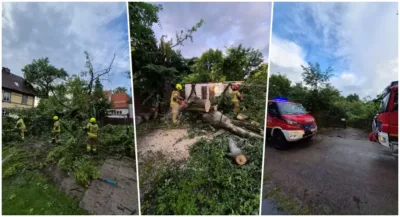 Pracowity weekend strażaków. Aż 16 wyjazdów do wiatrołomów