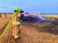 Nocna akcja strażaków pod Oleśnicą. Pożar ścierniska w Sokołowicach