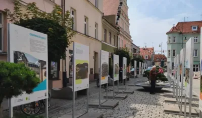 Odkryj Perły Aglomeracji Wrocławskiej w centrum Oleśnicy