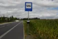 Autobus w kukurydzy? Nowe przystanki budzą uśmiech, ale mają sens