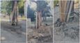 „Beton wygrywa ze zdrowym rozsądkiem”? Radny alarmuje o niszczeniu drzew przy ul. Kopernika
