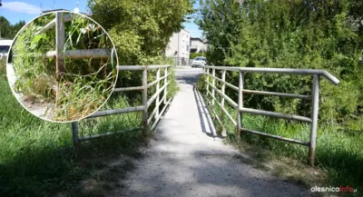 Pułapka na dziecięce stopy. Radna Ewa Bieniek apeluje o remont mostku przy ul. Ogrodowej