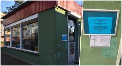 Pogłoski o śmierci były mocno przesadzone! Rodzina Wojtoniów wraca z urlopu i otwiera sklep