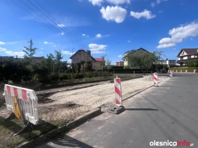 Bunt na Ratajach. W sieci ruszyła petycja w obronie zieleni przy placu zabaw