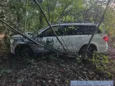 Ukradł mercedesa wartego 200 tysięcy, uciekał przez las i wpadł w ręce policji