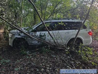 Ukradł mercedesa wartego 200 tysięcy, uciekał przez las i wpadł w ręce policji