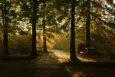 Ostatnie chwile na jesienny spacer. Arboretum Leśne w Stradomi Dolnej kończy sezon