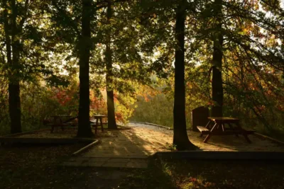 Ostatnie chwile na jesienny spacer. Arboretum Leśne w Stradomi Dolnej kończy sezon